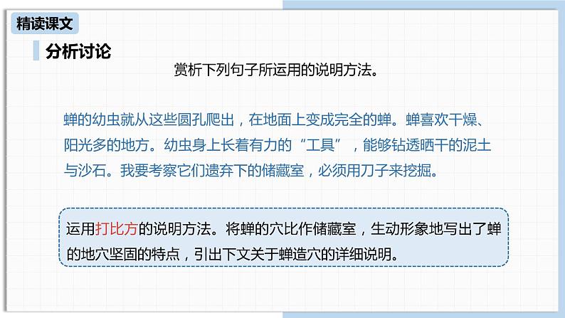 蝉PPT课件8第6页