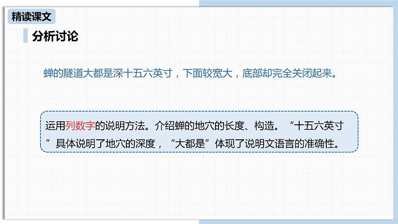蝉PPT课件8第7页