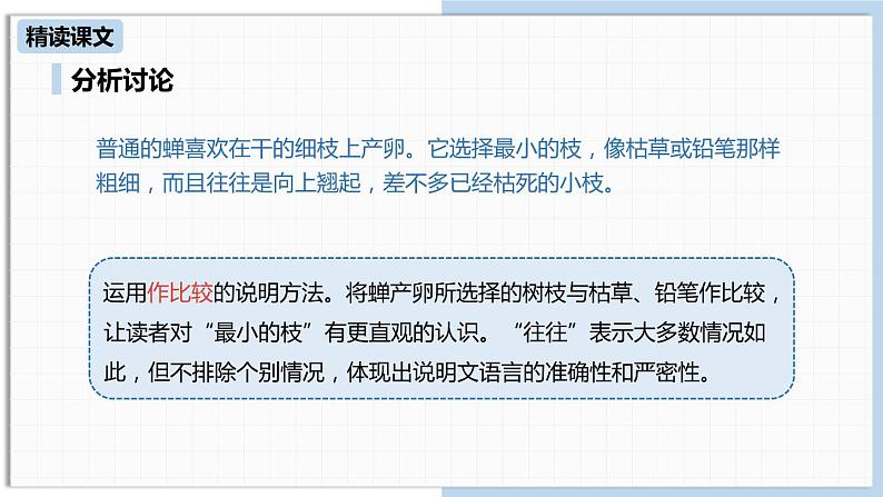 蝉PPT课件8第8页