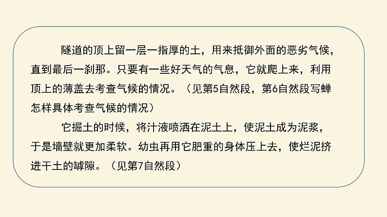 蝉PPT课件5第8页