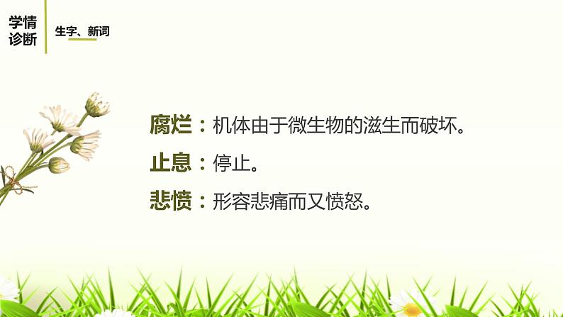 我爱这土地PPT课件8第7页