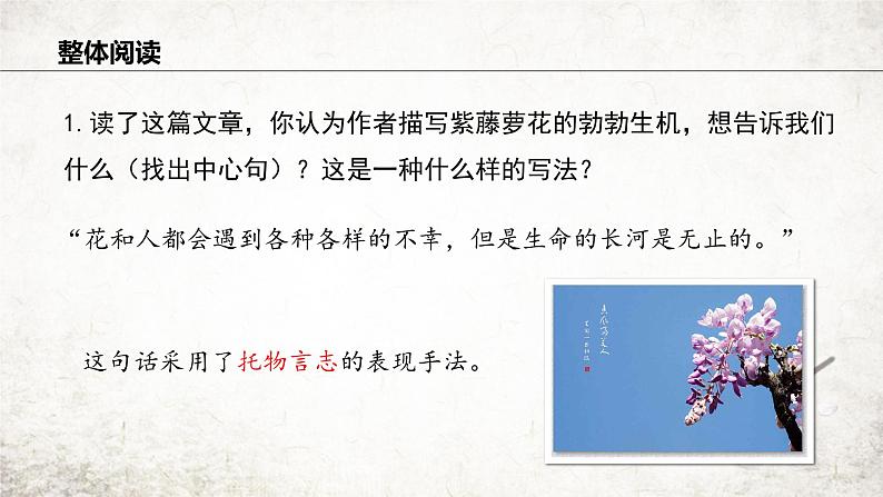 18 紫藤萝瀑布 课件 2023-2024学年初中语文部编版七年级下册08