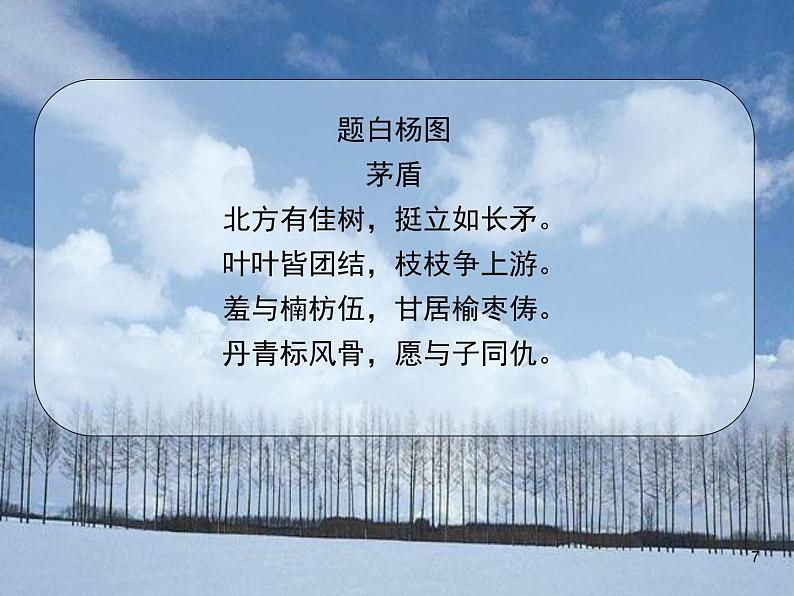 第15课《白杨礼赞》课件(PPT) 2023—2024学年统编版语文八年级上册第八单元07