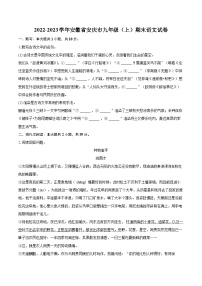 2022-2023学年安徽省安庆市九年级（上）期末语文试卷（含详细答案解析）