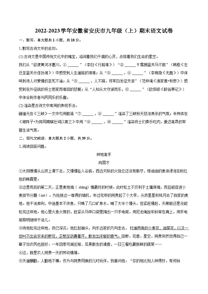 2022-2023学年安徽省安庆市九年级(上)期末语文试卷(含详细答案解析)第1页