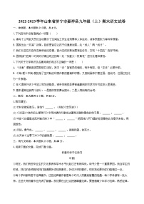 2022-2023学年山东省济宁市嘉祥县九年级（上）期末语文试卷（含详细答案解析）