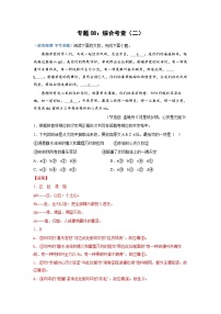 中考語(yǔ)文必刷真題精選 專題08：綜合考查（二）（含答案）