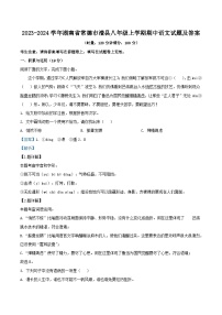 2023-2024学年湖南省常德市澧县八年级上学期期中语文试题及答案