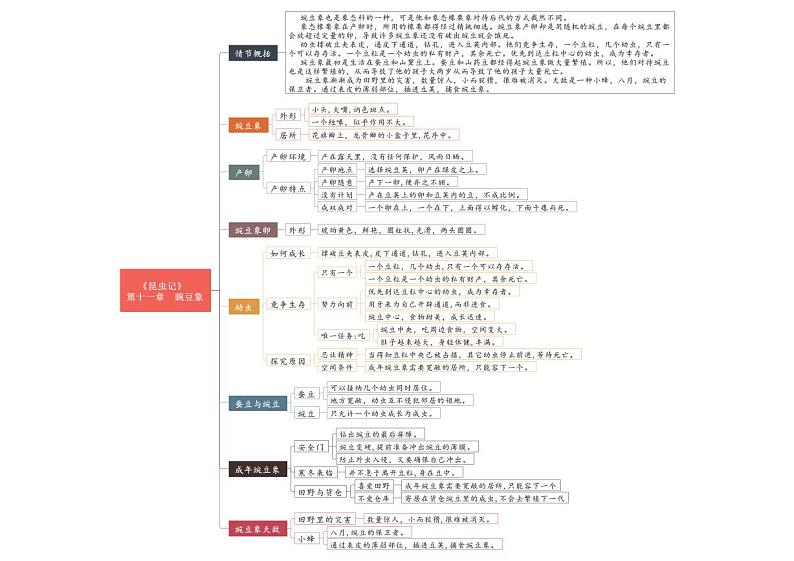 中考语文复习专题精讲+03 第十一节-第十五节《昆虫记》重点情节思维导图第1页