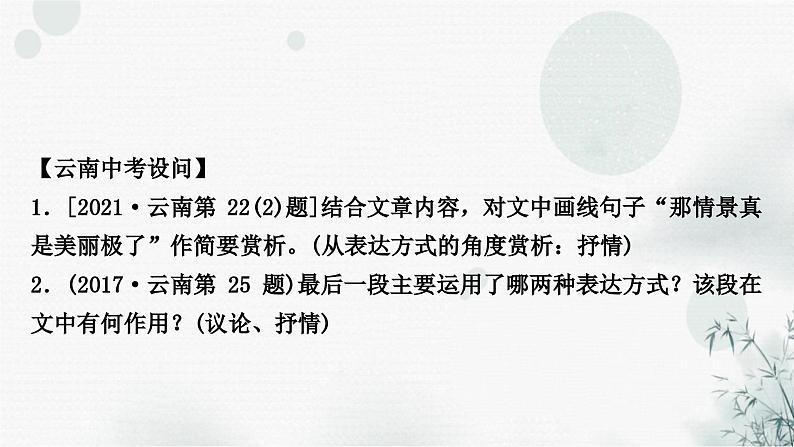 中考语文复习现代文阅读第二讲写作技巧分析课件第4页