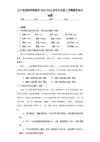 辽宁省沈阳市浑南区2023-2024学年九年级上学期期末语文试题(含答案)