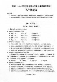 四川省成都市成华区2023-2024学年九年级上学期期末考试语文试题