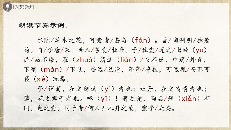 人教部编版七下语文 17《短文两篇》《爱莲说》 课件+教案+学案07