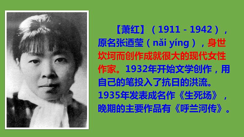【部编版】九年级下册《萧红墓畔口占》教学课件第5页
