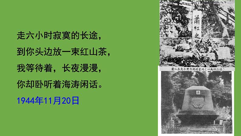 【部编版】九年级下册《萧红墓畔口占》教学课件第8页