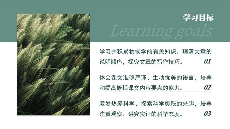 初中语文部编版八年级下册-5大自然的语言 课件+教案02