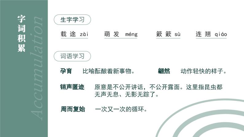 初中语文部编版八年级下册-5大自然的语言 课件+教案05