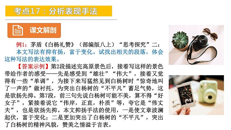 考点17:分析表现手法-备战2024年中考语文现代文阅读高频考点精讲课件(全国通用)第7页