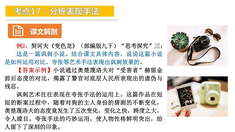 考点17:分析表现手法-备战2024年中考语文现代文阅读高频考点精讲课件(全国通用)第8页