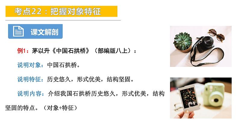 考点22:把握对象特征-备战2024年中考语文现代文阅读高频考点精讲课件(全国通用)07