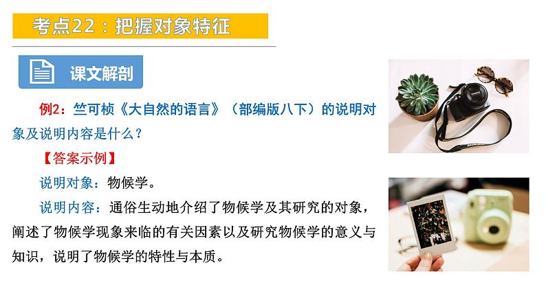 考点22:把握对象特征-备战2024年中考语文现代文阅读高频考点精讲课件(全国通用)08