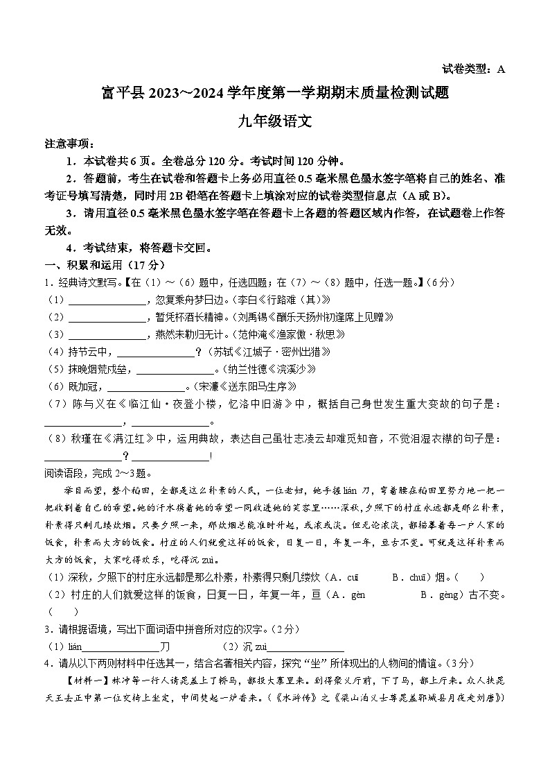 10,陕西省渭南市富平县2023-2024学年九年级上学期期末语文试题01