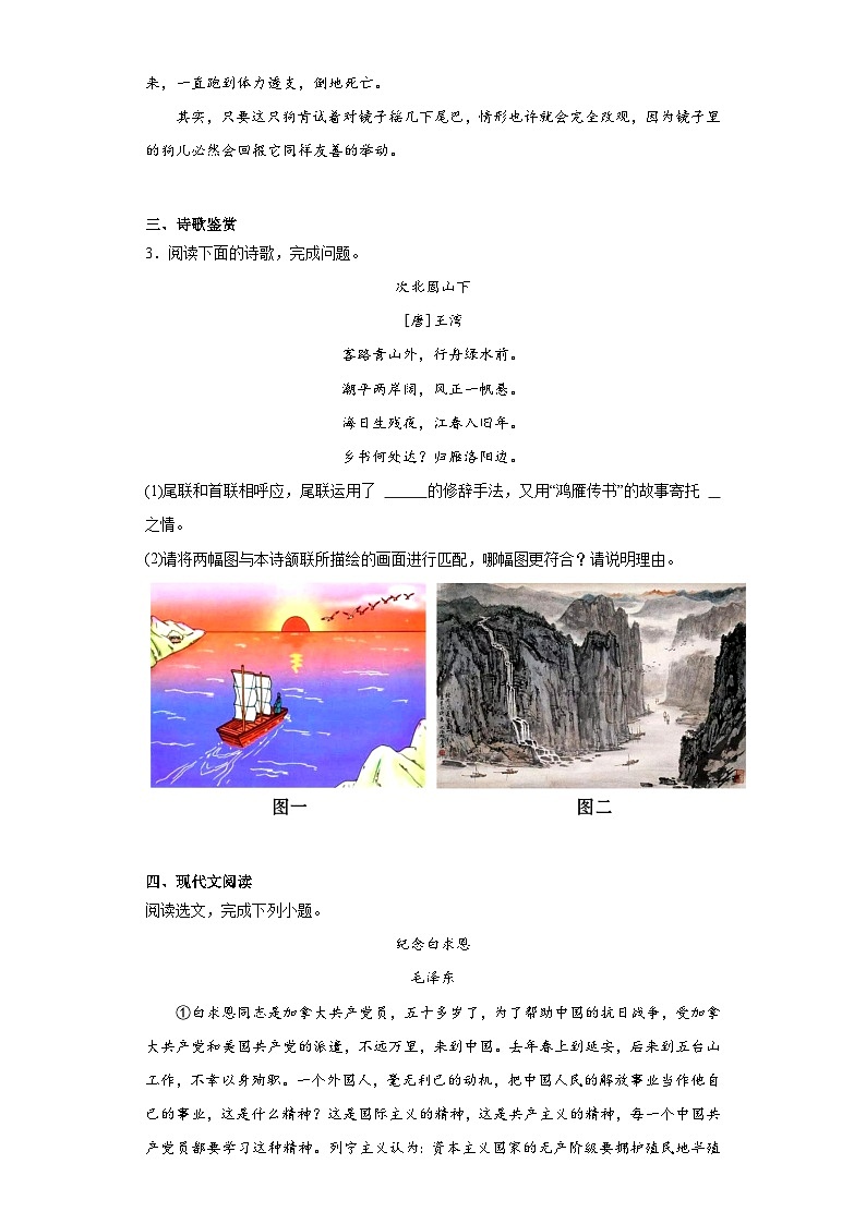 部编版语文七年级上册寒假综合复习(十三)试题第2页