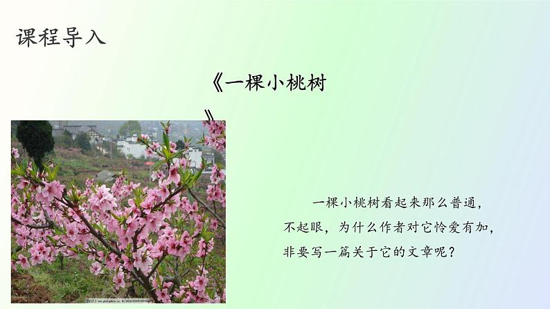 19 《一棵小桃树》第2课时PPT第2页
