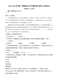 广东省深圳市宝安区宝安中学集团2023-2024学年九年级上学期期中语文试题