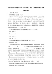 河南省信阳市平桥区2023-2024学年九年级上学期期末语文试卷