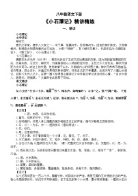 初中语文人教部编版八年级下册小石潭记同步达标检测题
