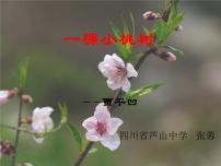 初中语文人教部编版七年级下册一棵小桃树示范课ppt课件