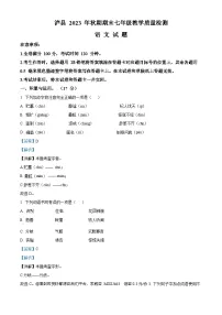 28，四川省泸州市泸县2023-2024学年七年级上学期期末语文试题