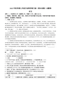广西壮族自治区梧州市苍梧县2023-2024学年九年级上学期期末语文试题
