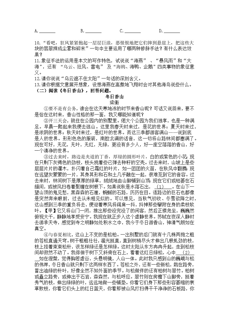2023-2024学年统编版语文九年级下册第4课《海燕》练习题(含答案)第3页