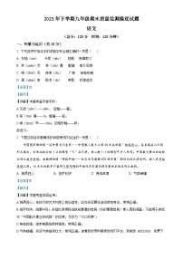 08,湖南省娄底市新化县2023-2024学年九年级上学期期末语文试题
