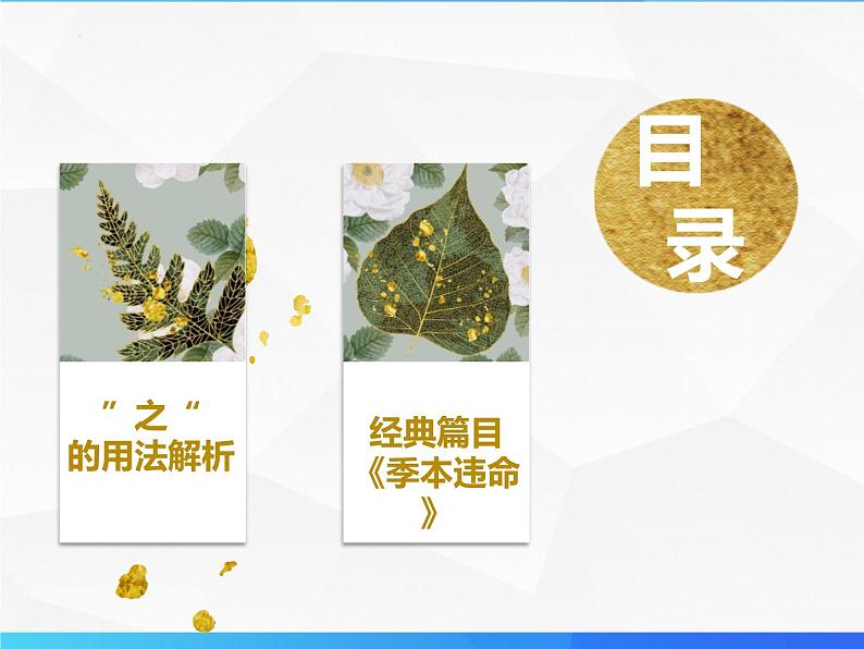第10讲 文言文虚词(一)第5页