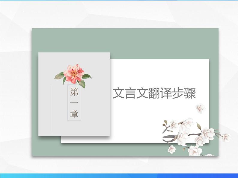 第12讲 文言文翻译第5页