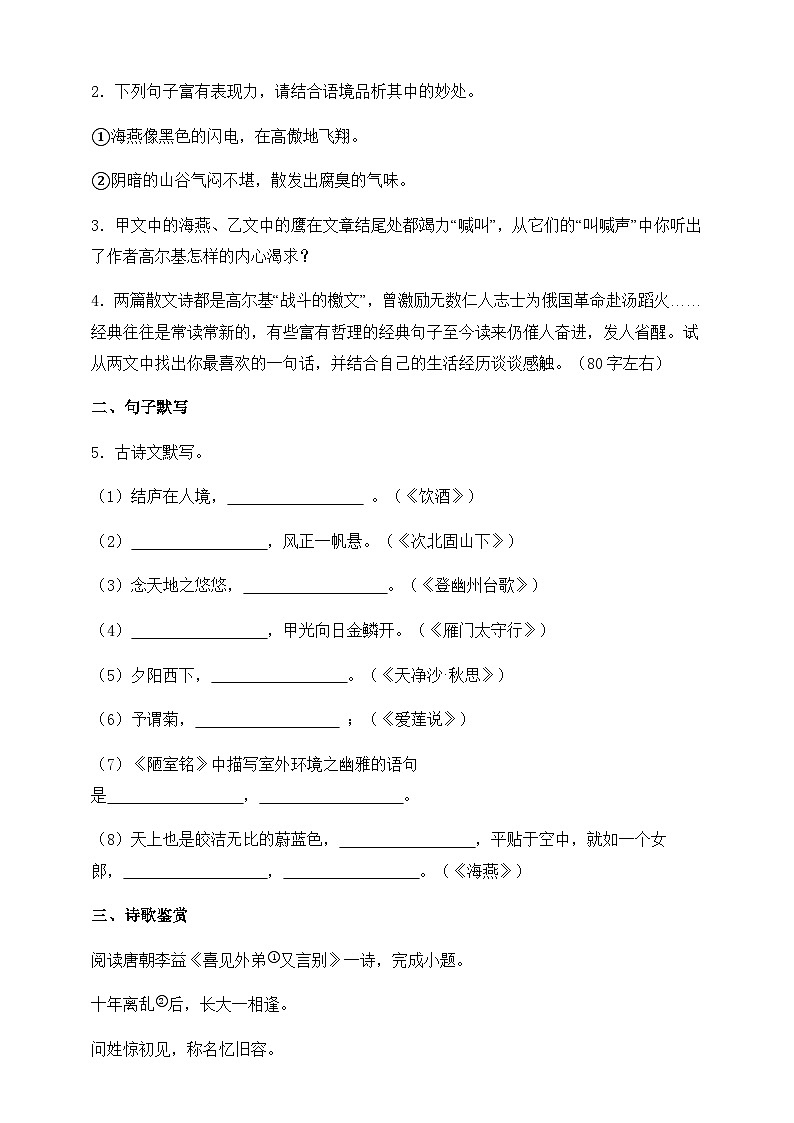 人教部编版九年级语文下册-4.海燕 同步练习 (含答案解析)03