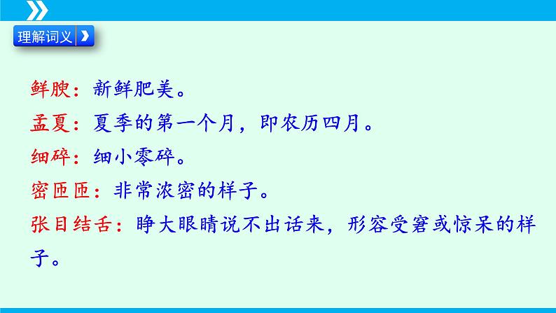 第17课+昆明的雨-2024-2025学年八年级语文上册同步备课精品课件(部编版)第7页