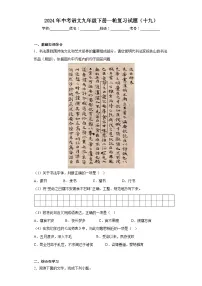 2024年中考语文九年级下册一轮复习试题（十九）