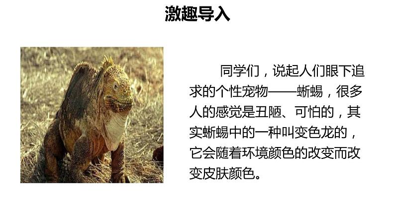 变色龙PPT课件703