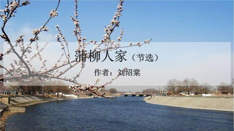 蒲柳人家PPT课件801