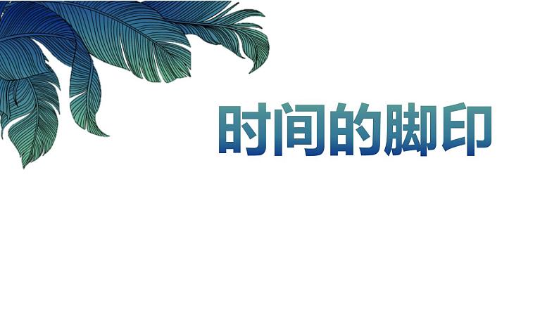 时间的脚印PPT课件5第1页