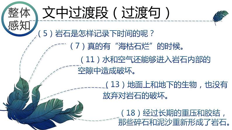 时间的脚印PPT课件5第8页