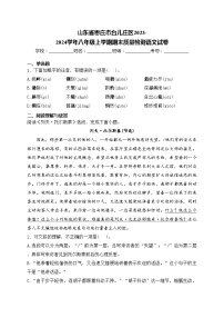 山东省枣庄市台儿庄区2023-2024学年八年级上学期期末质量检测语文试卷(含答案)