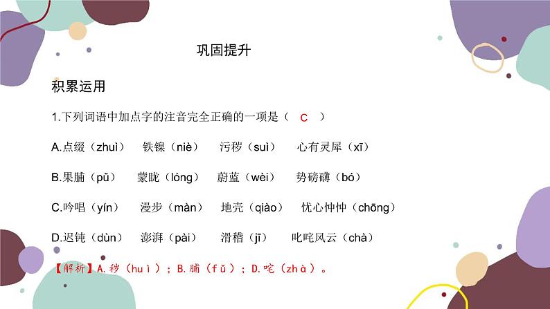 统编版语文七年级下册 24 带上她的眼睛课件第8页