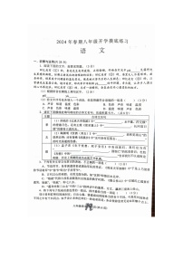 河南省南阳市南召县2023-2024学年八年级下学期开学测试语文试卷（图片版无答案 ）