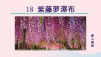 人教部编版七年级下册紫藤萝瀑布教学课件ppt