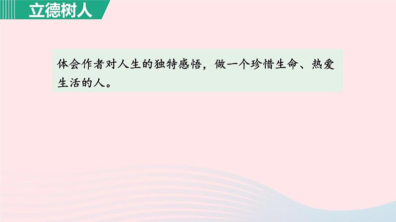 2024春七年级语文下册第5单元18紫藤萝瀑布第1课时教学课件(部编版)第5页